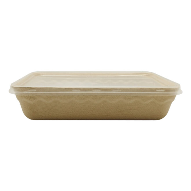 Envase de bagazo – Rectangular con tapa rPET - 500 ml. 17