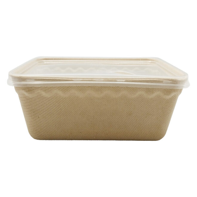 Envase de bagazo – Rectangular con tapa PP/Rp 17